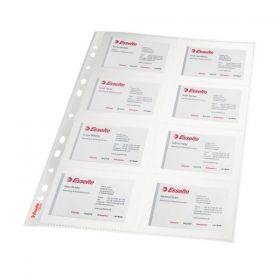 File protectie pentru carti de vizita A4 10 buc/set 170 microni Esselte