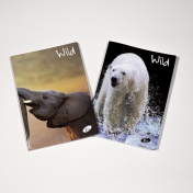 Caiet A5, 48 file, hartie 80 gr./mp design Wild - matematica