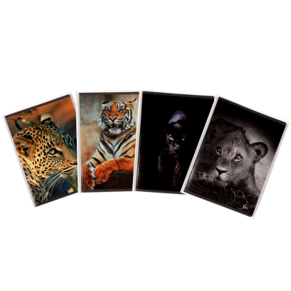 Caiet A5, 48 file, hartie 80 gr./mp design Animals - matematica