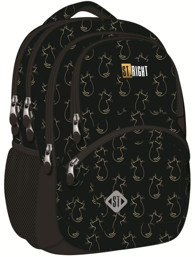 Ghiozdan liceu BP-05 GOLDEN CATS St.Right Majewski