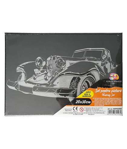 Panza predesenata neagra pe sasiu 20 x 30 cm MASINA Art SF Pigna