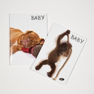 Caiet TIP 1, 36 file, hartie 80 gr./mp design Baby pets