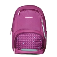 Rucsac Schneiders ErgoBase Purple Hearts