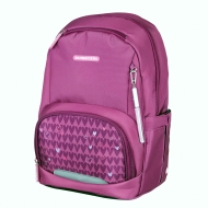 Rucsac Schneiders ErgoBase Purple Hearts