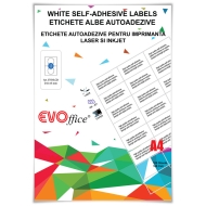 Etichete autoadezive pentru CD 2/A4 100 coli / top 